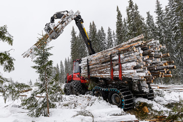 Sustaineable timber harvesting in Norway during wintertime