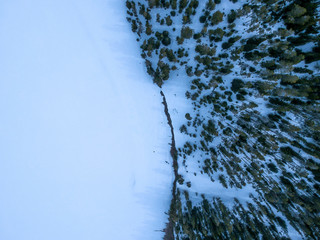Aerial view of frozen lake and trees in forest