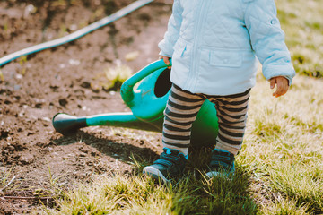 Little toddler baby boy walking with big watering can in garden. Adorable child helping parents to grow vegetables. Activities outdoors, love, family concept