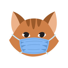 The cat in the medical mask. Protecting pets from coronavirus infection and spread