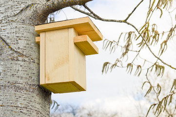 wooden birdhouse- family in a new house, apartment mortgage and real estate, startup financing and loans market concept
