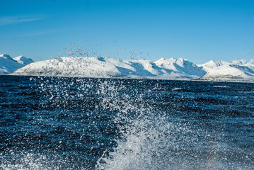 iceberg in antarctica © Bartosz