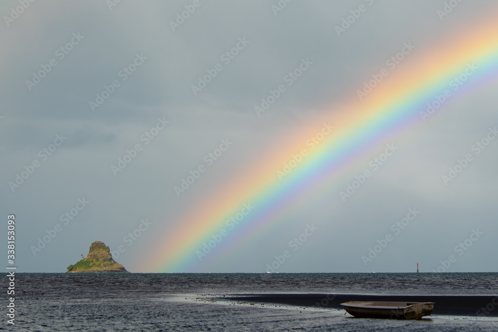 Canvas Prints scenic view of rainbow above mokoli ªi island