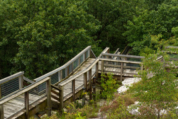 Viewing platform overlooking Castle Rock state park, Illinois, USA.