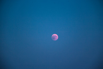 Vollmond bei Mitternacht: Blutmond