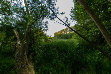 natural scenery in Germany 