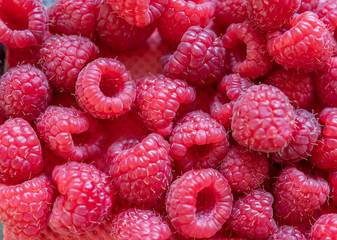 Viele Himbeeren - Früchte Hintergrund