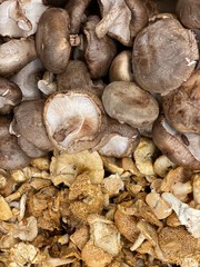 Organic Mushrooms super healthy foods. Baby Bella and Shitake mushrooms 