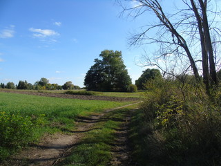 Rezerwat Przyrody Jeziorsko.