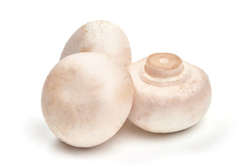 Fresh Champignon mushrooms, isolated on white background