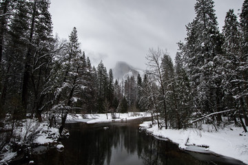 View of river flowing through forest in winter