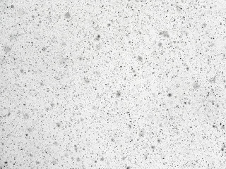 Obraz premium Texture of blurred black dots on a white background
