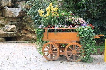 Wooden cart of plants decoration, with colored flowers