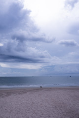 Deserted beach on the island of Bali. Clouds and clouds with rain of dark blue color. Sandy beach with sea and ocean. Tropical view. Hurricane.