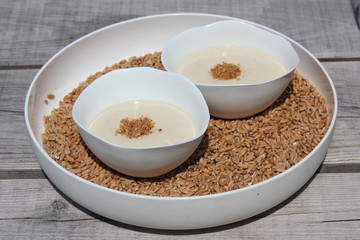 yogurt with oats