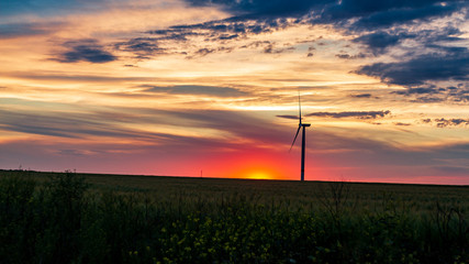 Obraz premium wind generator in grass field at sunset