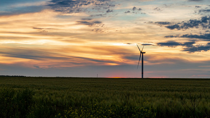 wind generator in grass field at sunset
