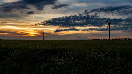 Fototapeta na wymiar wind generator in grass field at sunset