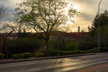 Atardecer