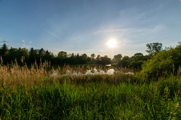 sunset over the lake