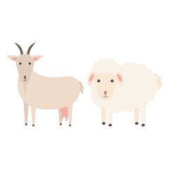 Comparing a goat with a sheep vector flat illustration isolated on white background. Domestic animals. Farm animals, goat and sheep cartoon characters. Print for nursery.