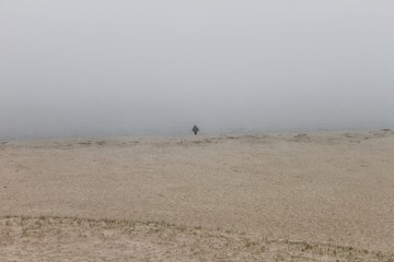 Fototapeta na wymiar A Solitary Walk on the Beach