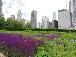 Millennium Park in Chicago