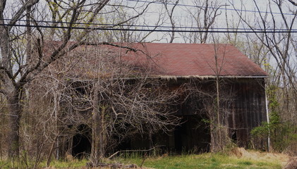 Abandoned Barn