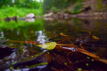 natural scenery