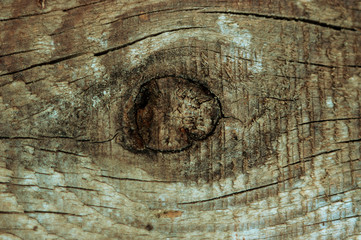 texture of a pine old board. Wood grain background for home wall decoration, flooring, furniture....