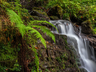 small green autumn landscape with waterfall