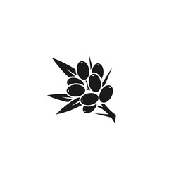 Sea buckthorn berry. Isolated icon