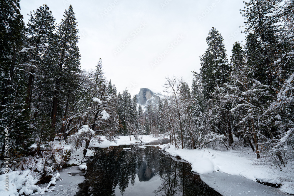 Wall mural view of river flowing through forest with half dome in background