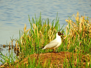 przyroda © Krzysztof