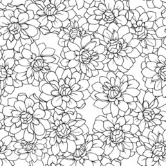 vector illustration, bright dahlia flowers, seamless pattern, wallpaper ornament, greeting card with flowers in black and white, background for different design