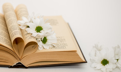 open book with white chrysanthemums on the table