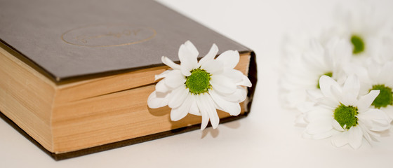 old book on the table with white flowers