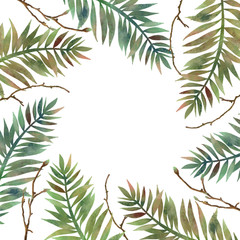 Forest frame, card template with hand drawn green fern leaves and tree branches on white background