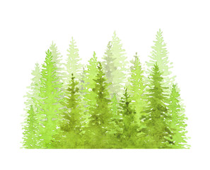 Abstract forest, silhouette of trees. Green forest, countryside landscape. Watercolor group of trees - fir, pine, cedar, fir-tree. Drawing on white isolated background.