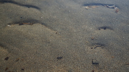 Nature near lake at Kuban River, russia