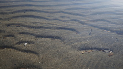 Nature near lake at Kuban River, russia