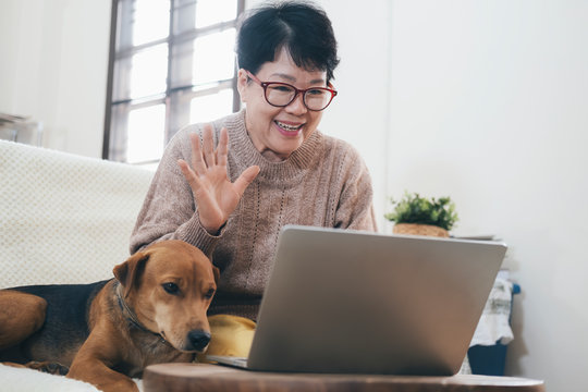 Asian elderly woman making video call on laptop
