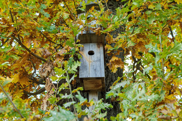 Wooden birdhouse on a tree among the leaves