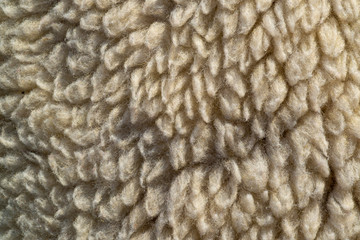 Close up white wool texture, backgrounds
