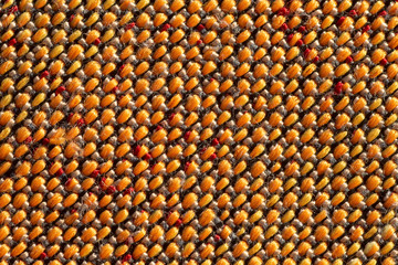 Textured and textured rough fabric, backgound