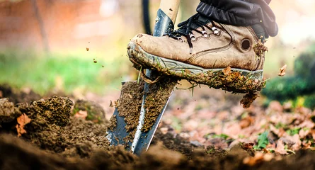 Foto op Canvas Man laars of schoen op schop bereidt zich voor op het graven. Boer graaft grond met schop in tuin © Milan