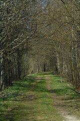 Obraz premium Landschaft in AUE