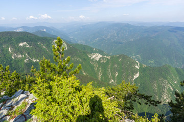 Fototapeta premium Panorama fron The Red Wall Peak at Rhodopes, Bulgaria