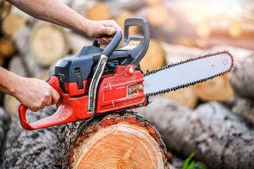 Woodcutter saws tree layed on grounmd.