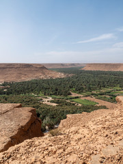 Palmeral en Marruecos, un oasis